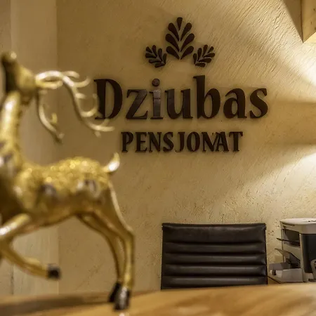 ゲストハウス Dziubas - 5 Minut Na Piechote Do Stacji Narciarskiej Kotelnica I Term Bania, Parking Przy Obiekcie 3*